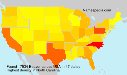 Surname Beaver in USA Surname Beaver in USA