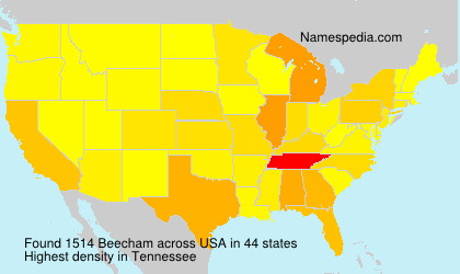 Surname Beecham in USA Surname Beecham in USA