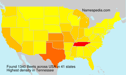 Surname Beets in USA Surname Beets in USA