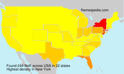 Surname Belfi in USA Surname Belfi in USA