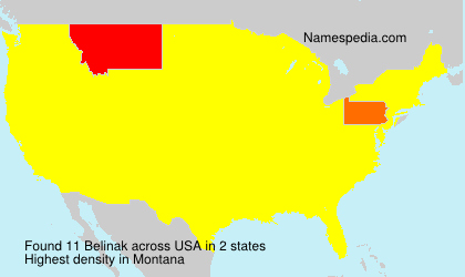 Surname Belinak in USA