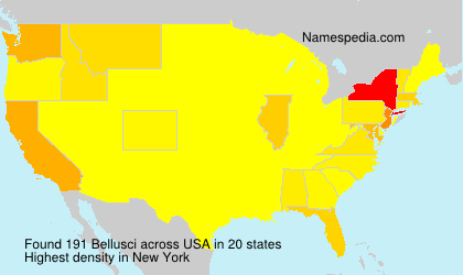 Surname Bellusci in USA