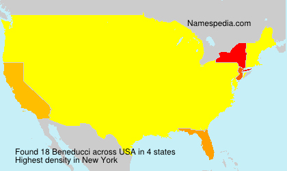 Surname Beneducci in USA Surname Beneducci in USA