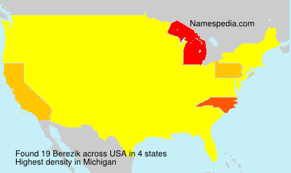 Surname Berezik in USA