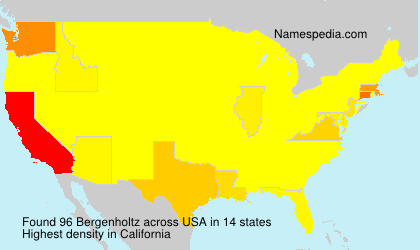 Bergenholtz Bergenholtz