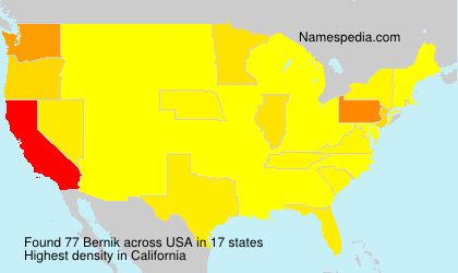 Surname Bernik in USA