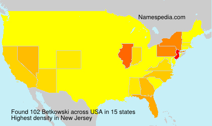 Surname Betkowski in USA Surname Betkowski in USA