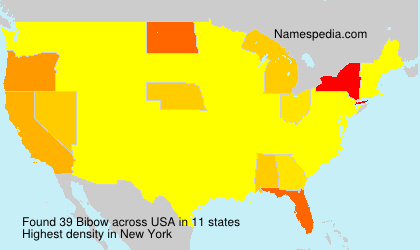 Surname Bibow in USA Surname Bibow in USA