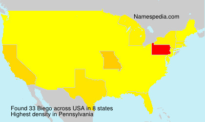 Surname Biego in USA