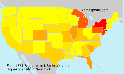 Surname Bigg in USA
