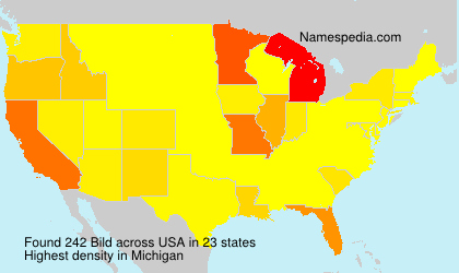 Surname Bild in USA Surname Bild in USA