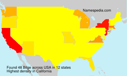Surname Bilge in USA Surname Bilge in USA