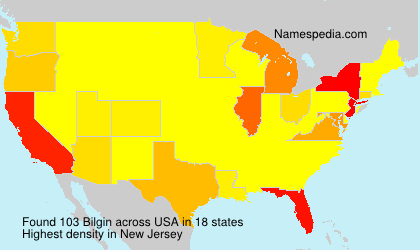Surname Bilgin in USA Surname Bilgin in USA
