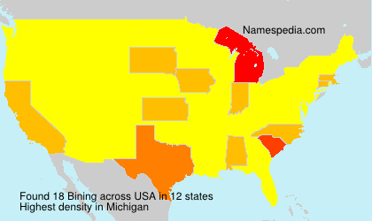 Surname Bining in USA Surname Bining in USA