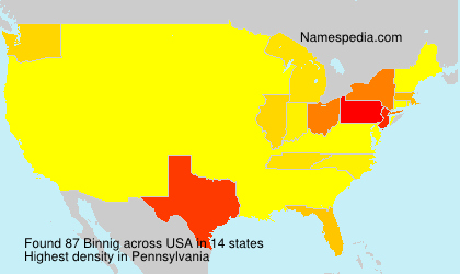 Surname Binnig in USA Surname Binnig in USA