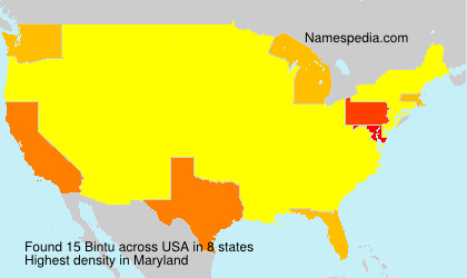 Surname Bintu in USA Surname Bintu in USA