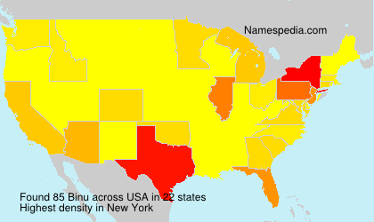 Surname Binu in USA Surname Binu in USA