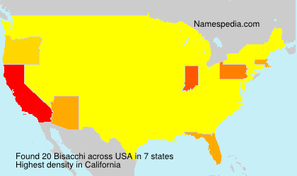 Surname Bisacchi in USA Surname Bisacchi in USA