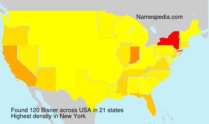 Bisner Bisner
