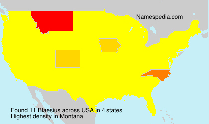 Surname Blaesius in USA Surname Blaesius in USA