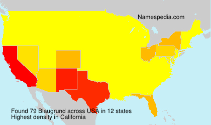 Surname Blaugrund in USA