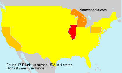 Bliudzius Bliudzius