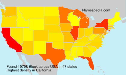Surname Block in USA Surname Block in USA