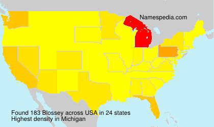 Surname Blossey in USA