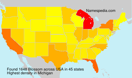 Surname Blossom in USA Surname Blossom in USA