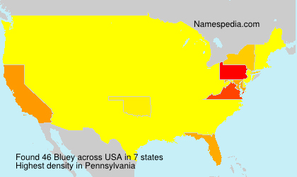 Surname Bluey in USA Surname Bluey in USA