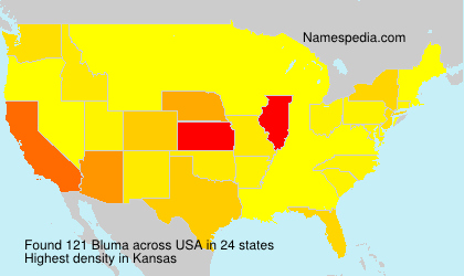Surname Bluma in USA Surname Bluma in USA