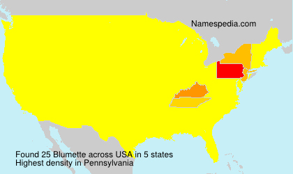 Surname Blumette in USA Surname Blumette in USA