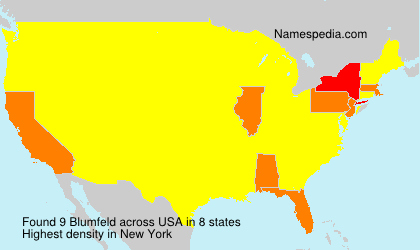 Surname Blumfeld in USA