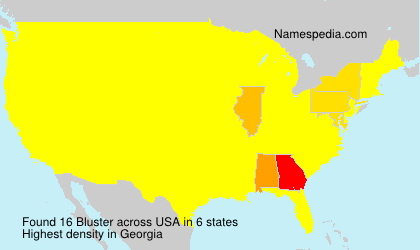 Surname Bluster in USA Surname Bluster in USA