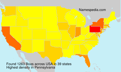 Surname Boas in USA Surname Boas in USA
