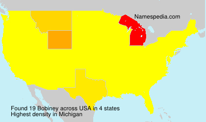 Surname Bobiney in USA