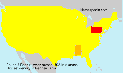 Surname Bobrukiewicz in USA Surname Bobrukiewicz in USA
