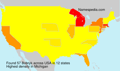 Surname Bobryk in USA Surname Bobryk in USA