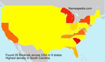 Surname Bocknek in USA