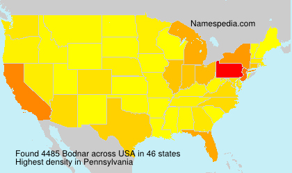 Bodnar Bodnar
