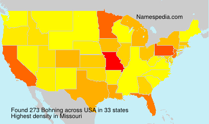 Surname Bohning in USA Surname Bohning in USA