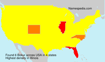 Surname Bokur in USA Surname Bokur in USA