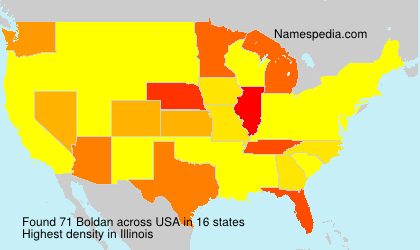 Surname Boldan in USA