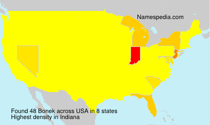 Surname Bonek in USA Surname Bonek in USA