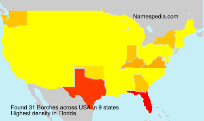 Surname Borches in USA Surname Borches in USA