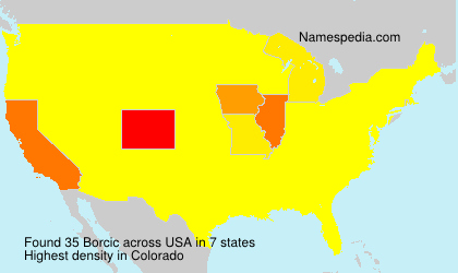 Surname Borcic in USA Surname Borcic in USA