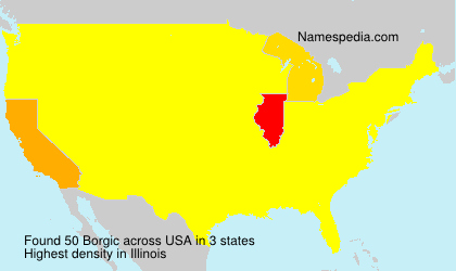 Surname Borgic in USA Surname Borgic in USA
