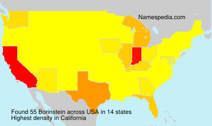 Surname Borinstein in USA Surname Borinstein in USA