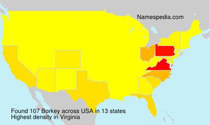 Surname Borkey in USA Surname Borkey in USA