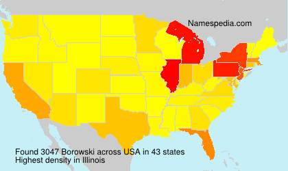 Surname Borowski in USA Surname Borowski in USA